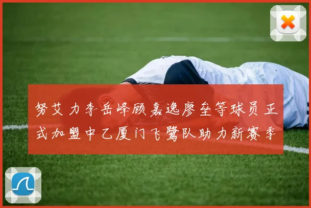 努艾力李岳峰顾嘉逸廖垒等球员正式加盟中乙厦门飞鹭队助力新赛季