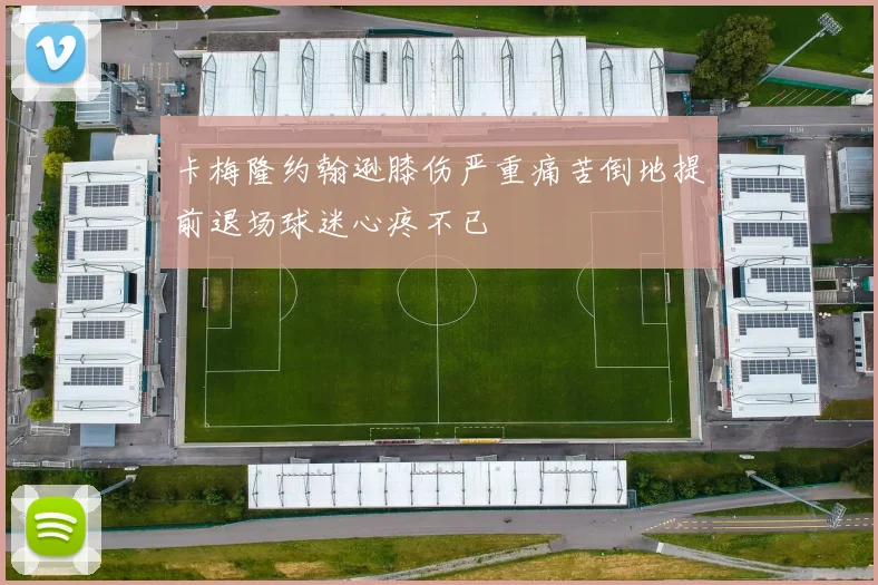 卡梅隆约翰逊膝伤严重痛苦倒地提前退场球迷心疼不已