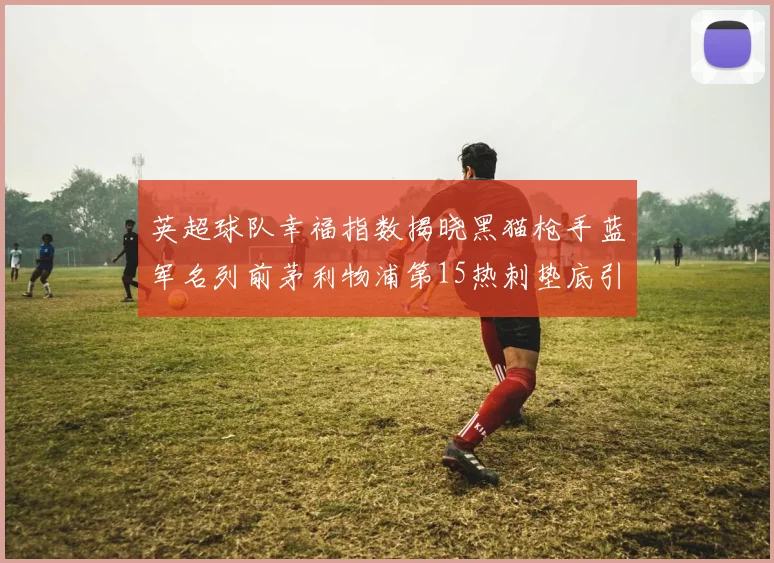 英超球队幸福指数揭晓黑猫枪手蓝军名列前茅利物浦第15热刺垫底引关注