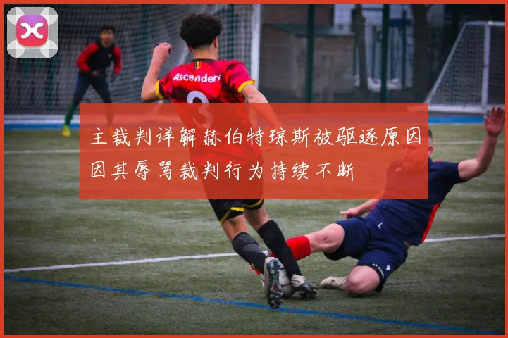主裁判详解赫伯特琼斯被驱逐原因因其辱骂裁判行为持续不断
