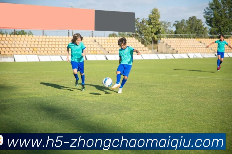 中超买球平台生态图