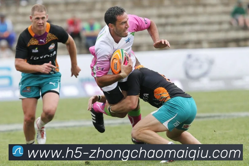 中超买球全站App